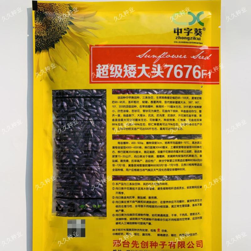 超级矮大头7676油葵种子三系杂交榨油葵花瓜种籽出油率高