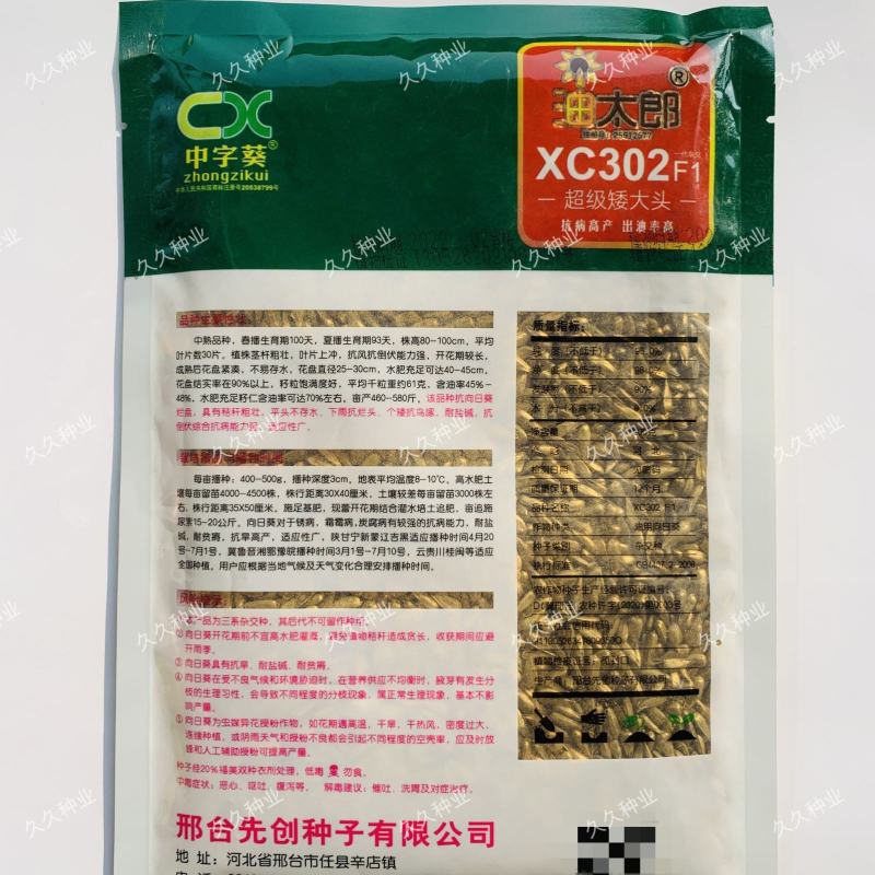 超级矮大头油葵种子油太郎XC302高产高油抗倒伏向日葵种