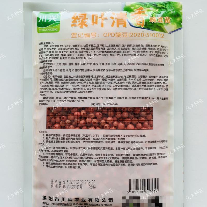 绿叶清香豌豆苗种子无须嫩豆苗尖阳台菜园大田农家秋季播蔬菜