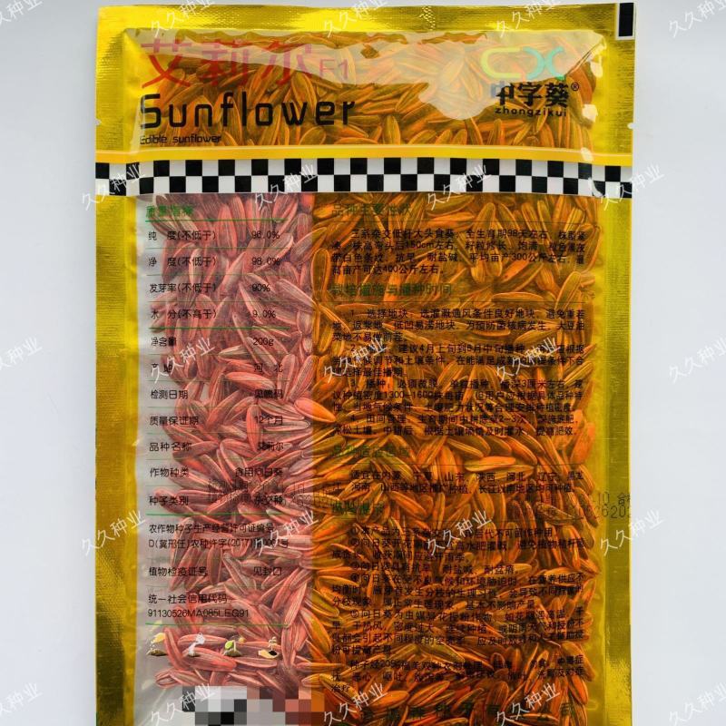 食用向日葵种子大粒葵花种籽瓜籽矮大头油葵种子高产盆栽庭院