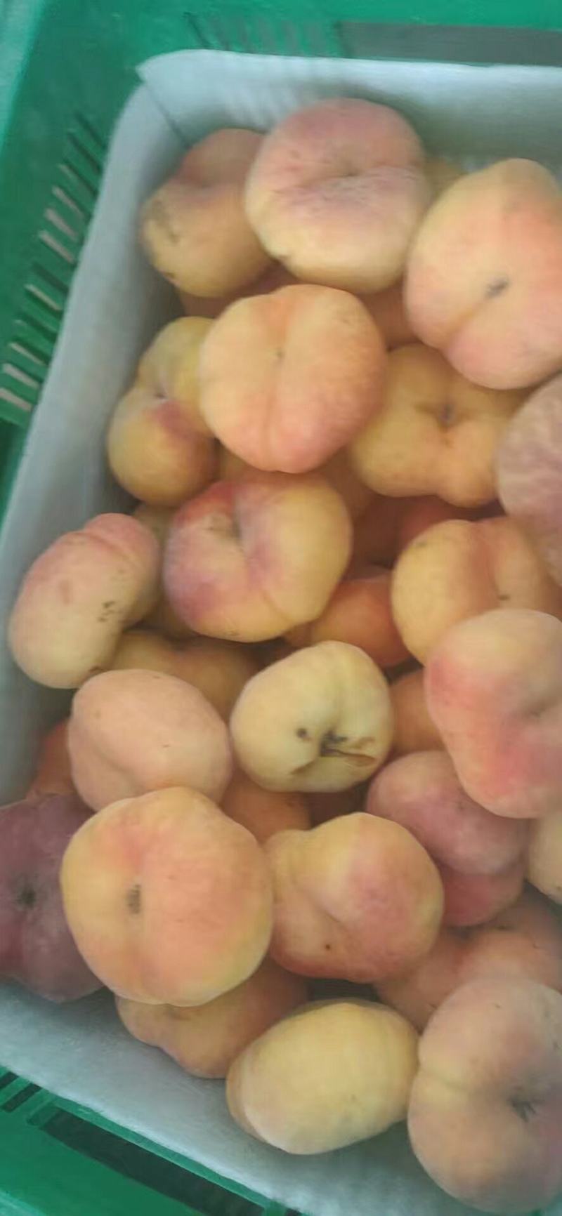 蟠桃