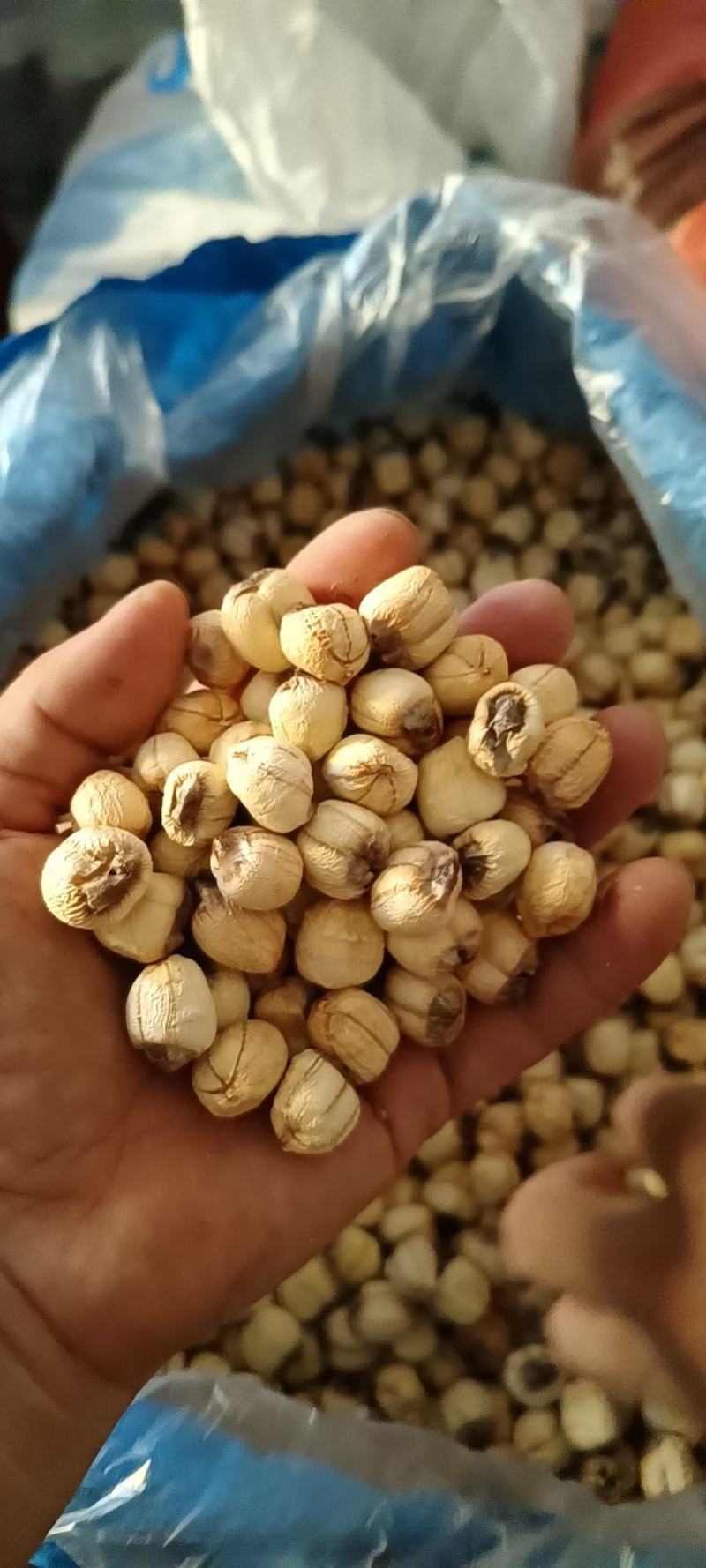 江西广昌手工红莲子，一手货源，你户直销