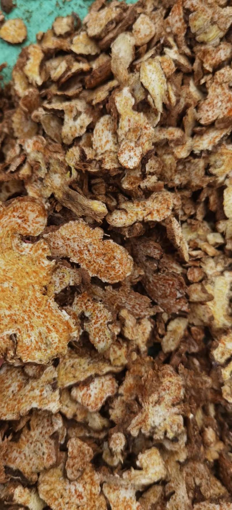 苍术苗承德隆化朱砂点北苍术一年，二年苗