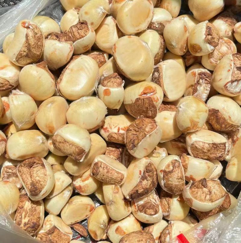 板栗刺球（特甜）来自大别山深处的绿色食品