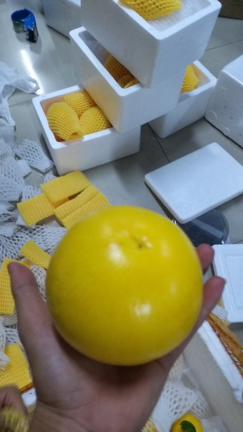 精品黄晶果，基地直发，果肉香甜，当前优良新品，皮薄，大果