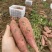 13两精品小蜜薯微商电商唐山产地红薯流油山东沙地烤地瓜