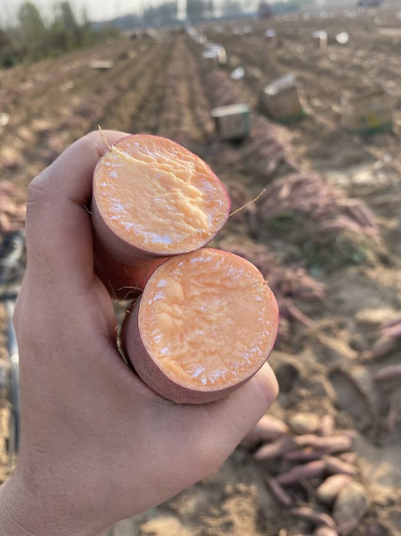 13两精品小蜜薯微商电商唐山产地红薯流油山东沙地烤地瓜