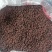 【精品】野生南五味，水煮自然晾晒，干货量大从优