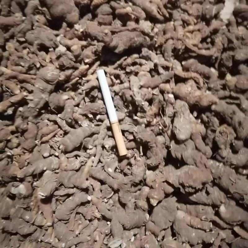 【实力商家】重楼，海螺七，七叶一枝花干货