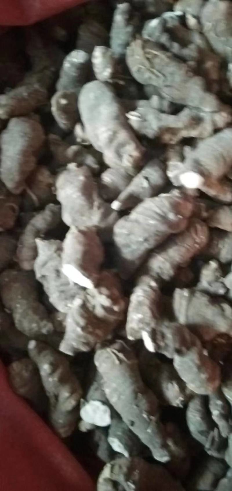 【实力商家】重楼，海螺七，七叶一枝花干货