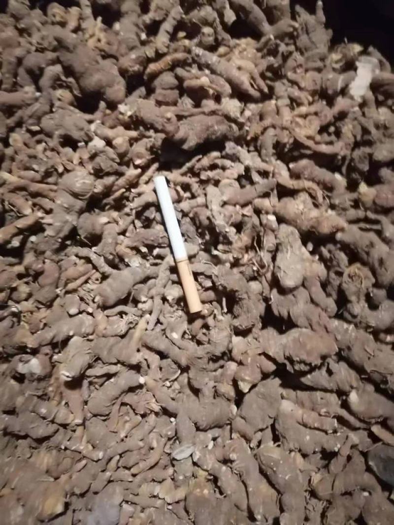 【实力商家】重楼，海螺七，七叶一枝花干货