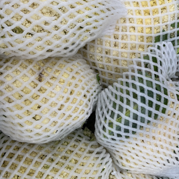 河北省沽源县菜花