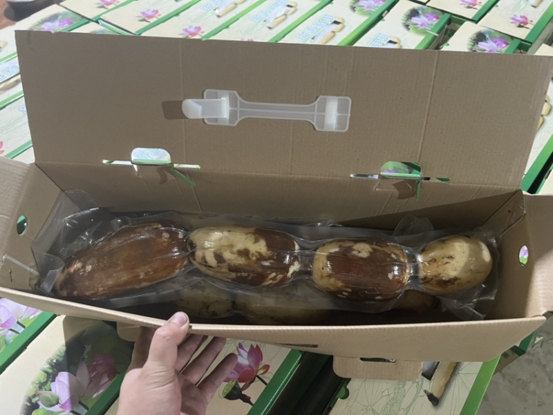南沙礼品真空粉莲藕，供平台，电商，批发市场都可以