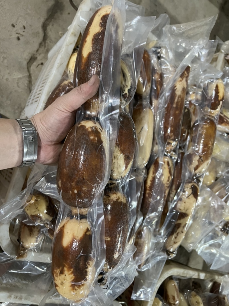 南沙礼品真空粉莲藕，供平台，电商，批发市场都可以