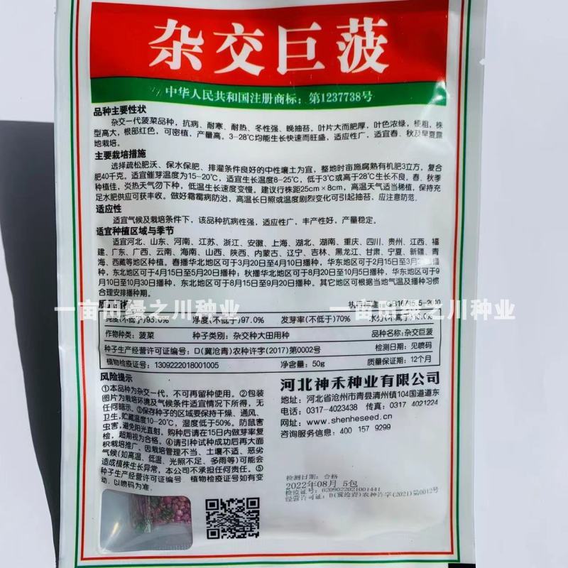 神禾杂交巨菠菠菜种子抗病高产大叶菠菜种子耐寒耐热抗病