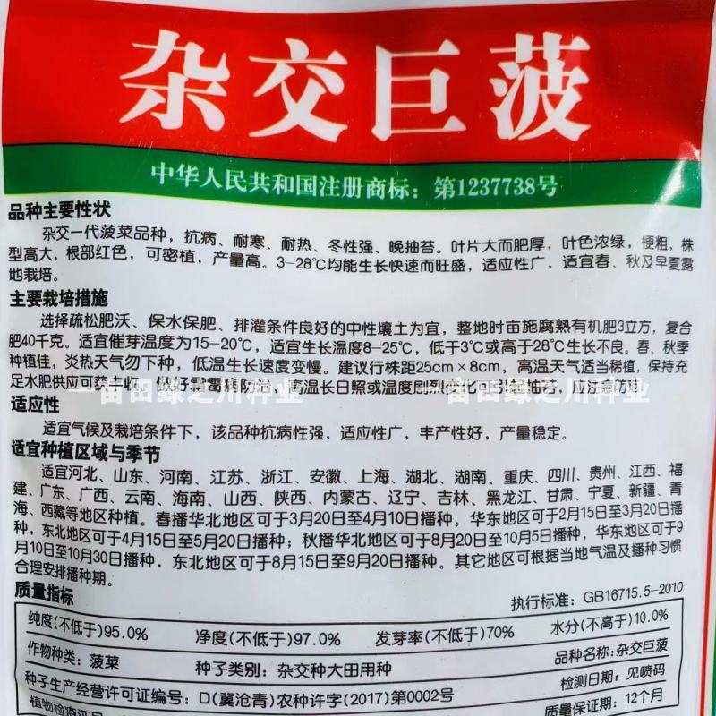 神禾杂交巨菠菠菜种子抗病高产大叶菠菜种子耐寒耐热抗病