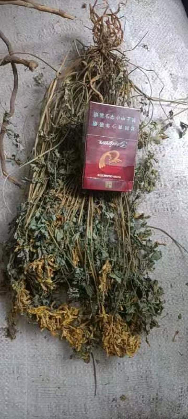 种植岩黄