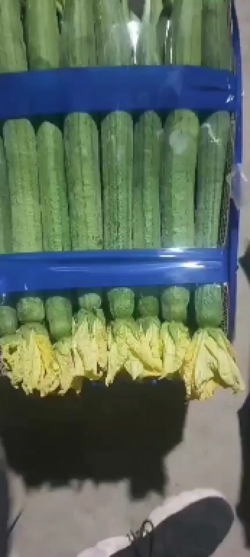连云港，鲜花丝瓜，精品