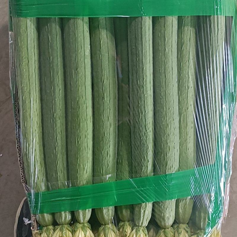 连云港，鲜花丝瓜，精品