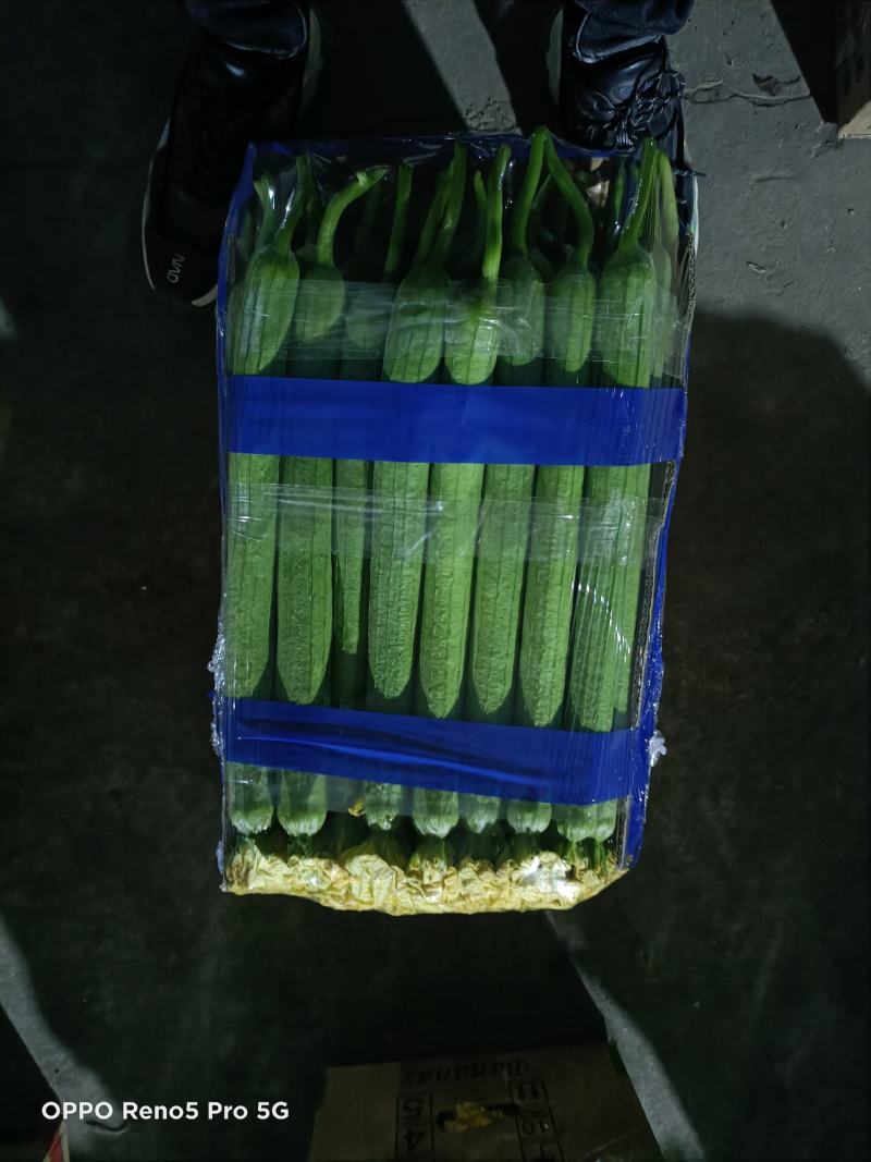 连云港，鲜花丝瓜，精品