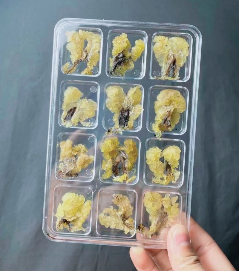 足干雪蛤油泡发率高批发