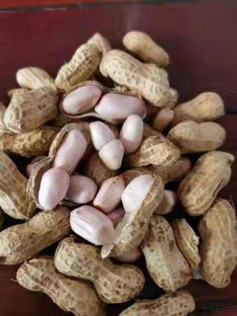 白沙系列鲜货带壳精选花生电商优选支持代发