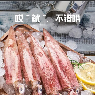 鱿鱼白灼鱿鱼东山鱿鱼东山小管红鱿不缩水鱿鱼