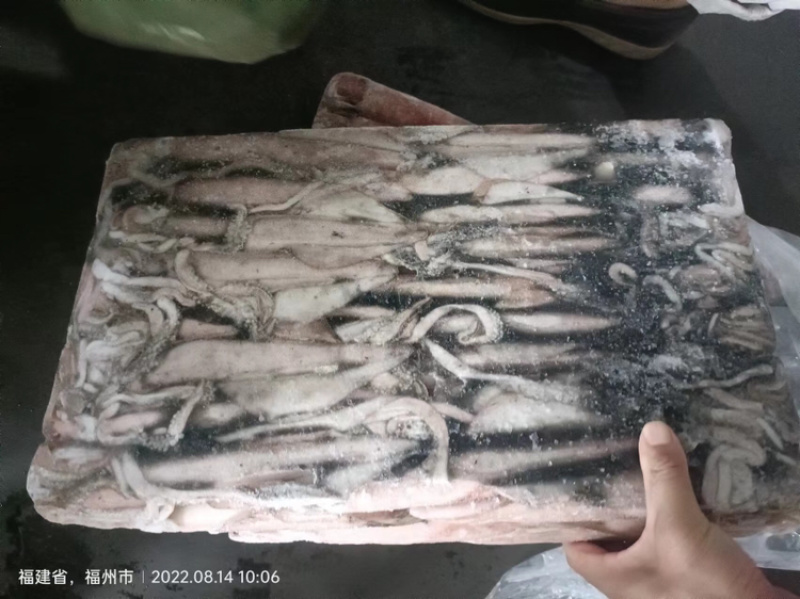 鱿鱼白灼鱿鱼东山鱿鱼东山小管红鱿不缩水鱿鱼