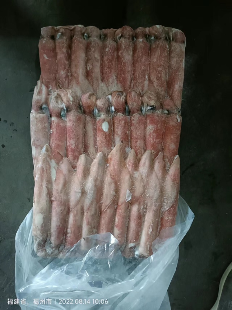 鱿鱼白灼鱿鱼东山鱿鱼东山小管红鱿不缩水鱿鱼