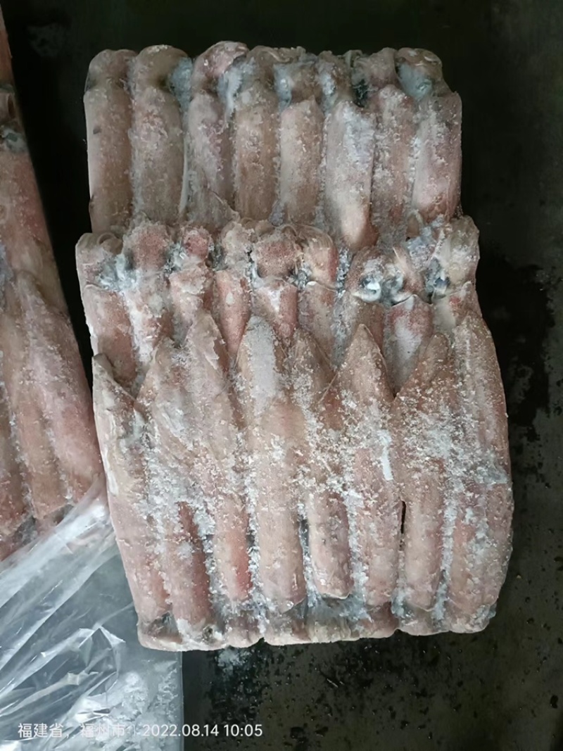 鱿鱼白灼鱿鱼东山鱿鱼东山小管红鱿不缩水鱿鱼