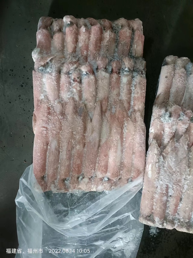 鱿鱼白灼鱿鱼东山鱿鱼东山小管红鱿不缩水鱿鱼