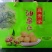 真贵子油栗仁开袋即食真空包装无添加实惠装独立小包装礼盒装