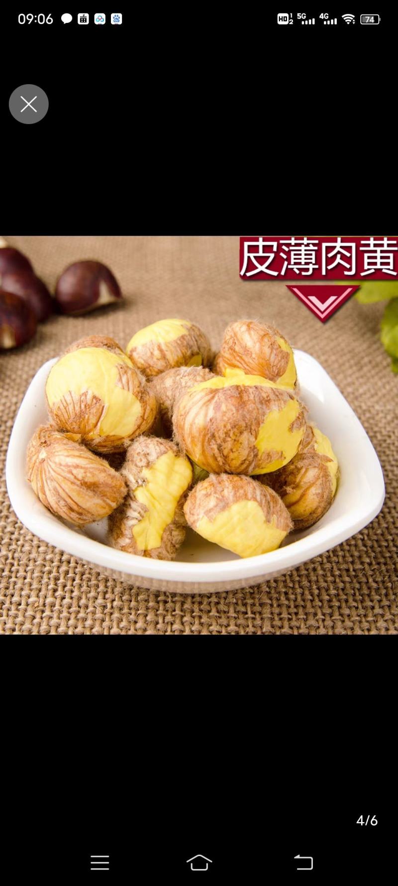 迁西板栗