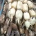 安徽芜湖万亩基地莲藕，产地直发大量供应，品质好，质量好