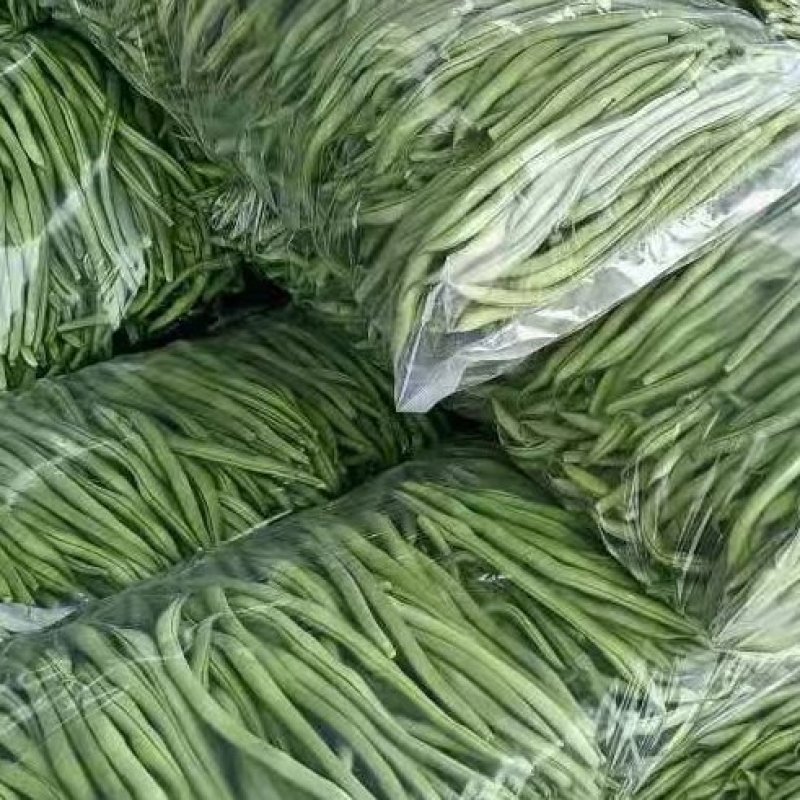 豆王架豆王豆角大量上市寻求长期合作