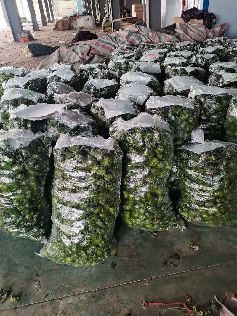 优质大棚薄皮圆椒上市，供应市场商超电商社区加工厂。