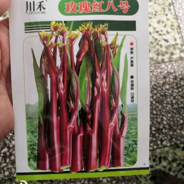 高产优质杂交种子