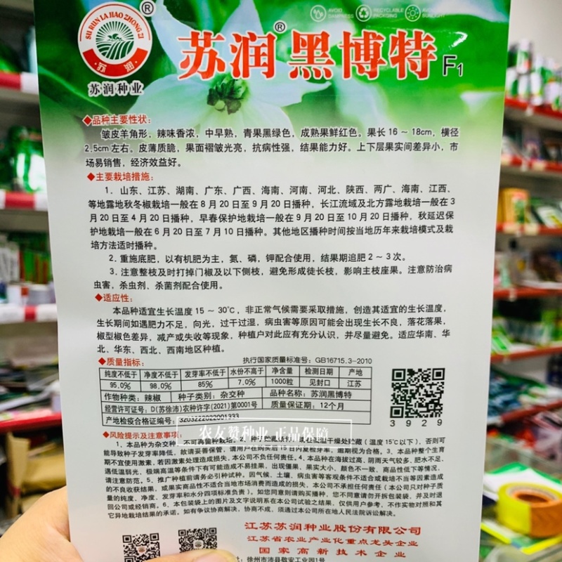 苏润黑博特皱皱辣种子特辣皮薄黑绿色皱皮椒种子大果