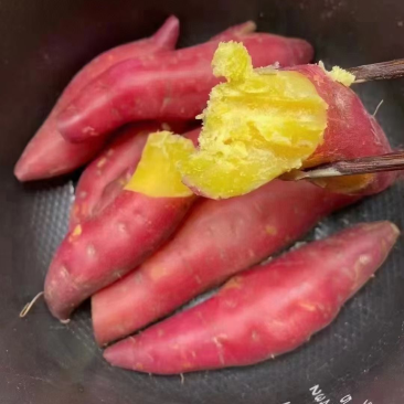 临安天目小香薯产地批发
