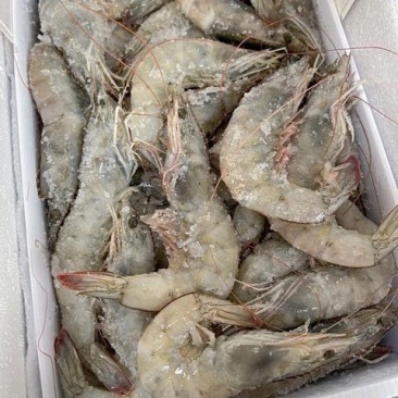 盐冻虾