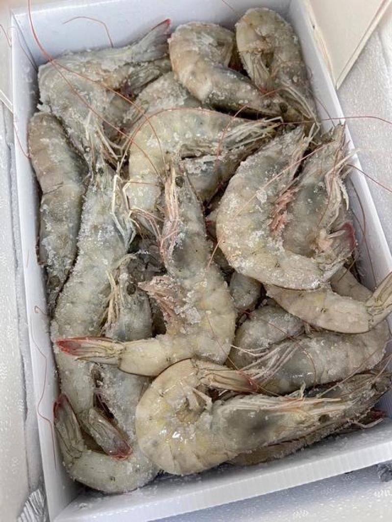 盐冻虾
