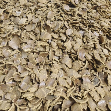 棉籽饼大量有货棉籽饼棉泊