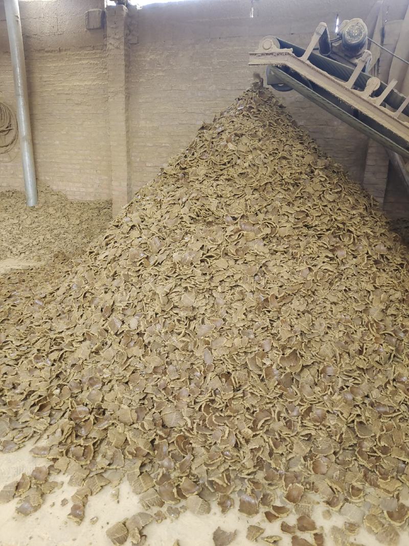 棉籽饼大量有货棉籽饼棉泊