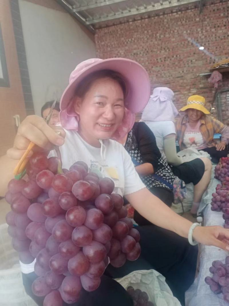 陕西渭南蒲城红提葡萄大量现货新郁葡萄颗粒大