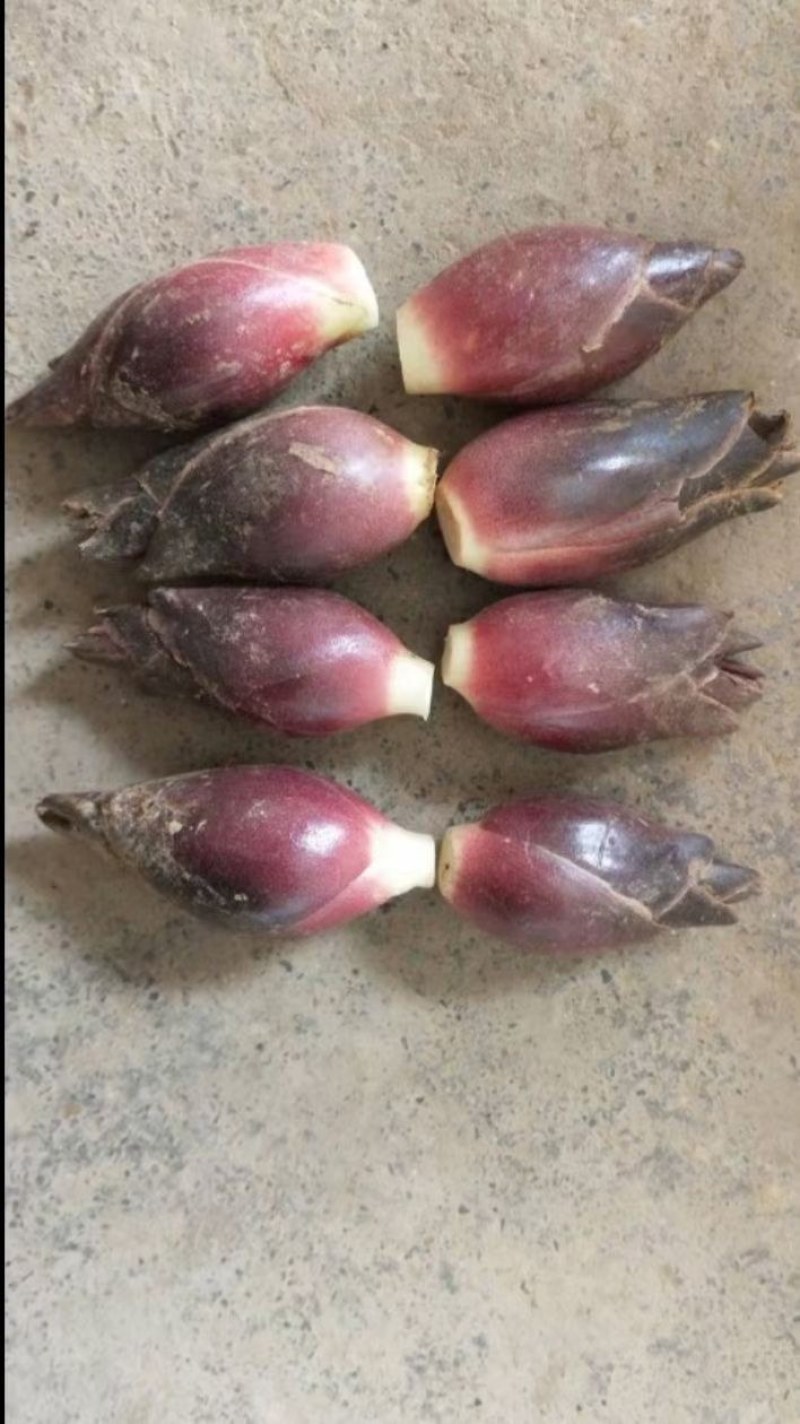生态阳荷
