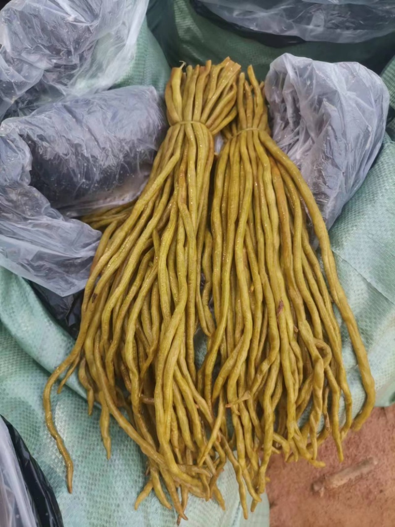 广西合浦县酸豆角，现货，现货，保证常年稳定货源。