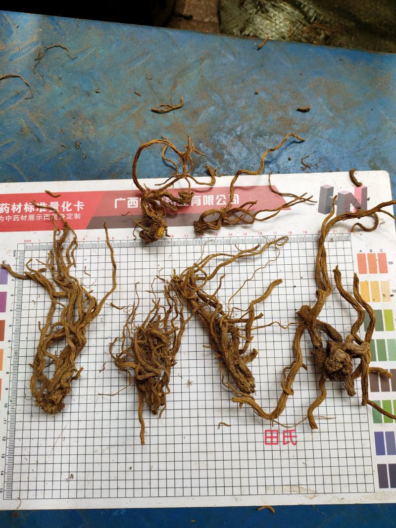 广西中药材岩黄连，岩黄连根，全根，岩黄连头，今年新晒干货