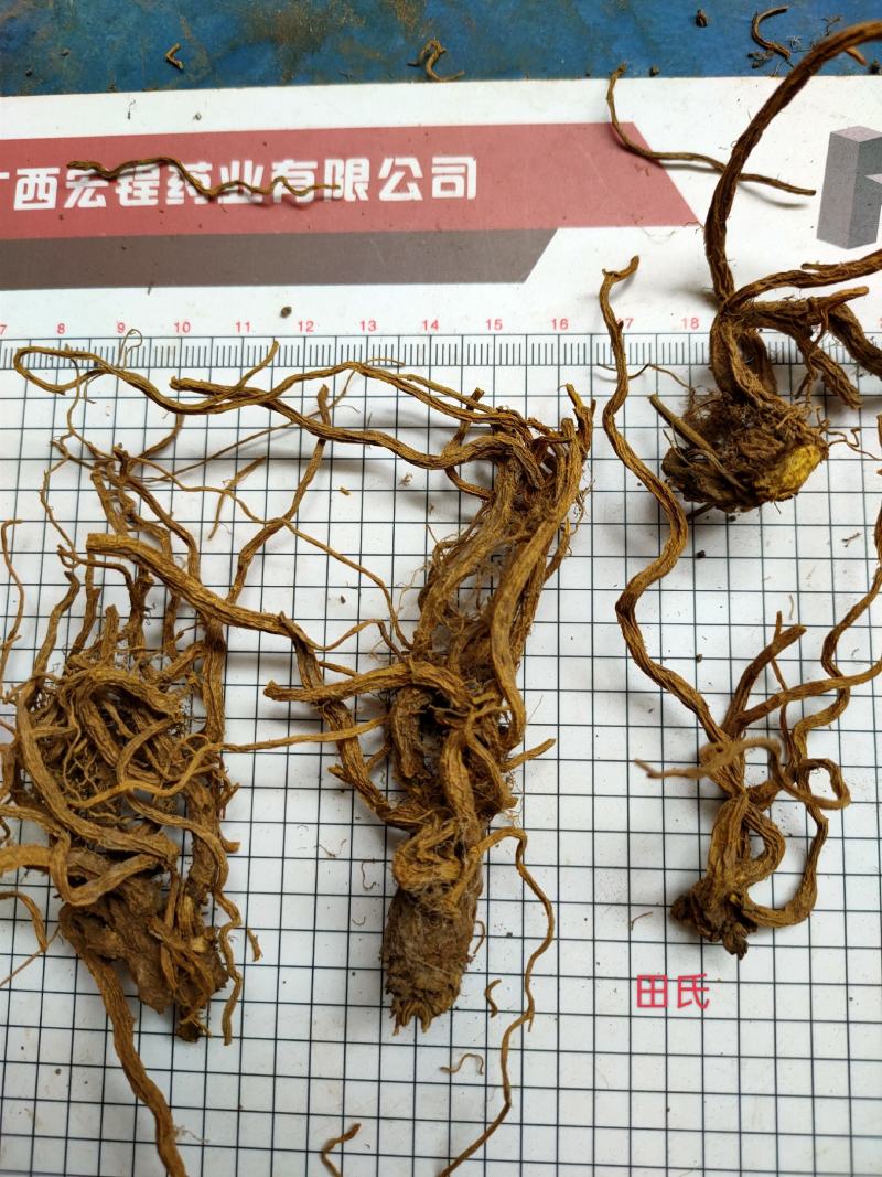 广西中药材岩黄连，岩黄连根，全根，岩黄连头，今年新晒干货