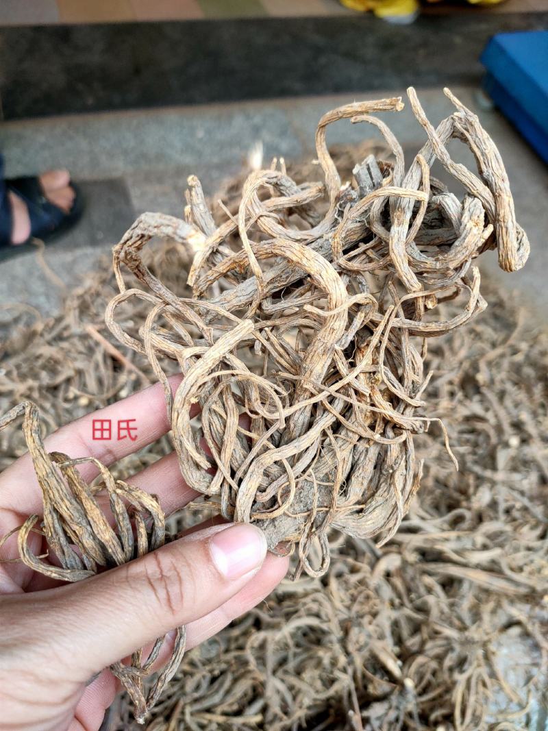 广西野生中药材隔山香，全根部，今年新干货