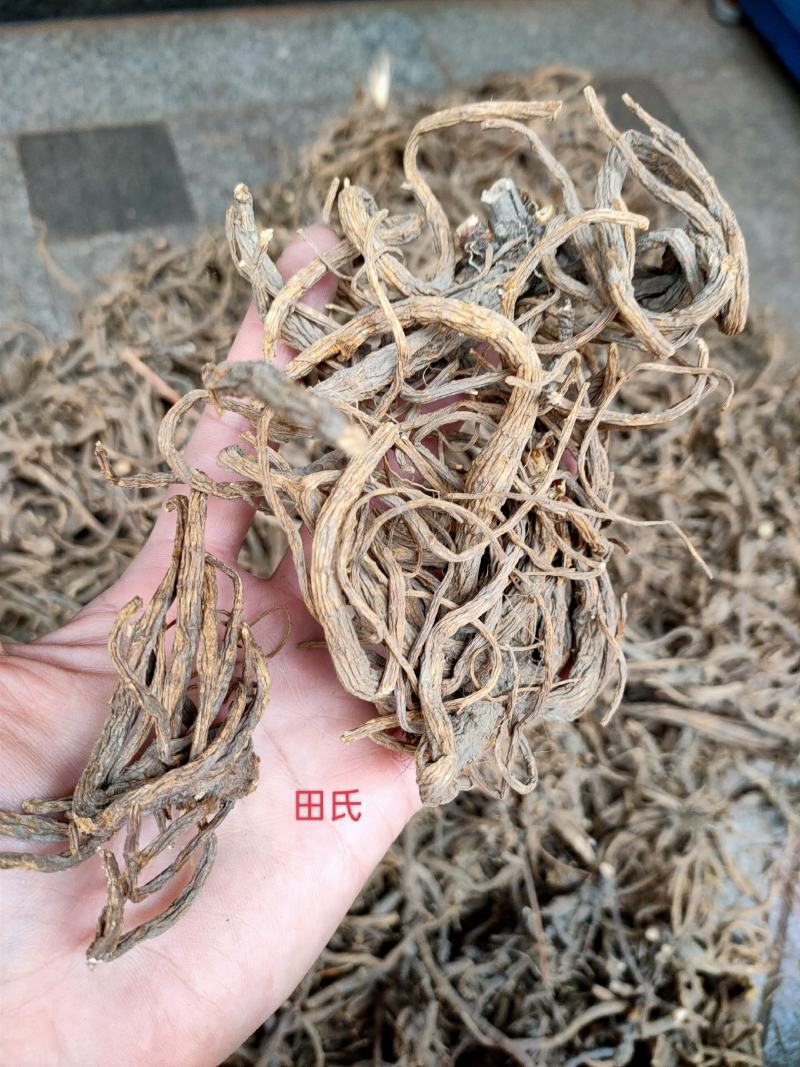 广西野生中药材隔山香，全根部，今年新干货
